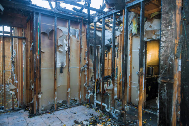 Professional Odor Removal technician working in Croswell, MI